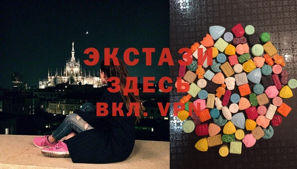 PSILOCYBIN Аркадак