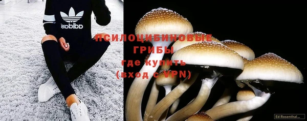 мескалин Армянск