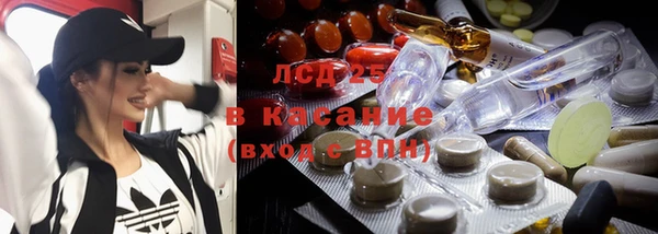 PSILOCYBIN Аркадак