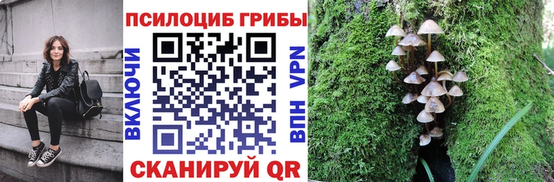 где найти наркотики  shop Telegram  Псилоцибиновые грибы MAGIC MUSHROOMS  Краснотурьинск 